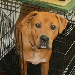 Meet your Posher, J kim